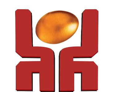 河南鼎越企業(yè)管理咨詢 專業(yè)商務(wù)咨詢，助力企業(yè)卓越發(fā)展